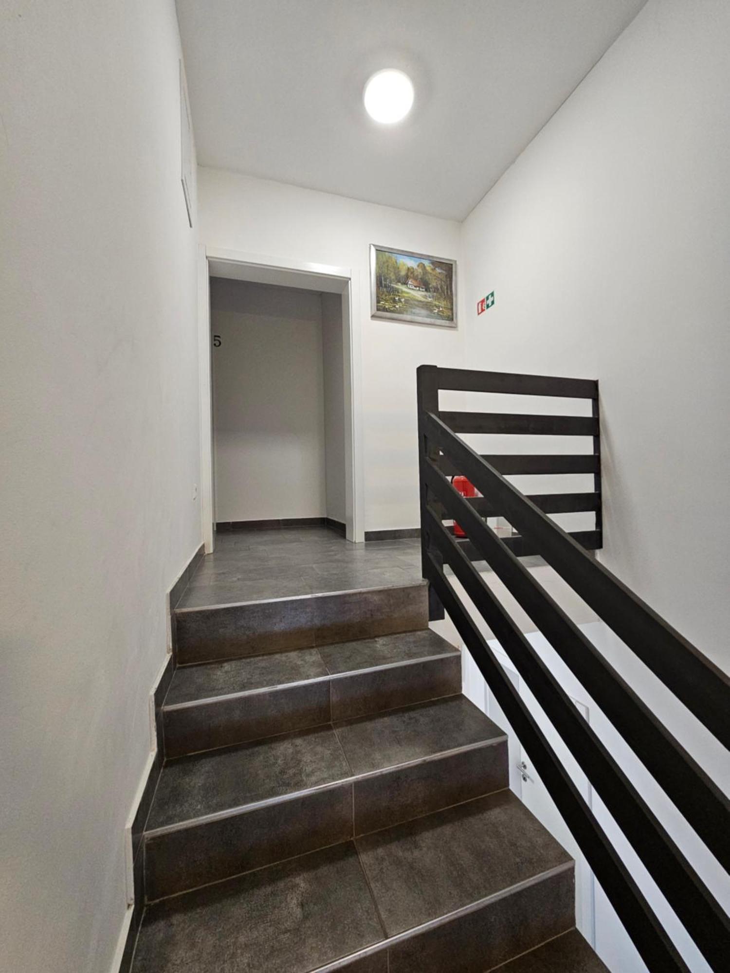 Filipovic Rent A Car & Apartments Selnica Scitarjevska Dış mekan fotoğraf